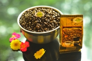 Coffee roasters special ARABICA